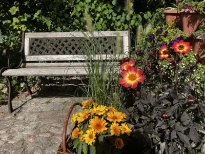 Foto des Albums: Teltower Altstadtsommer vom 28. bis 30. August