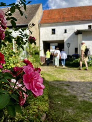Foto des Albums: Teltower Altstadtsommer vom 28. bis 30. August