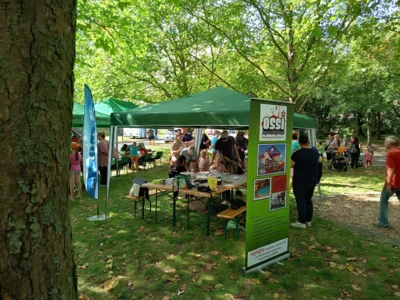 Foto des Albums: Remmi Demmi im Park