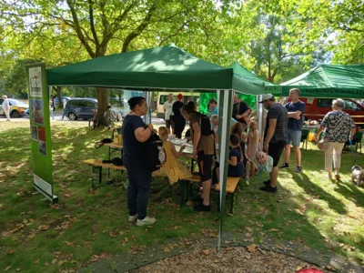 Foto des Albums: Remmi Demmi im Park