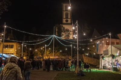 Foto des Albums: Empfang der Naheweinkönigin Katharina 2023