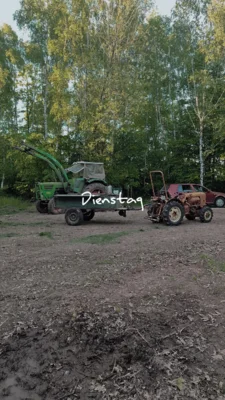 Foto des Albums: Hexennacht 2025