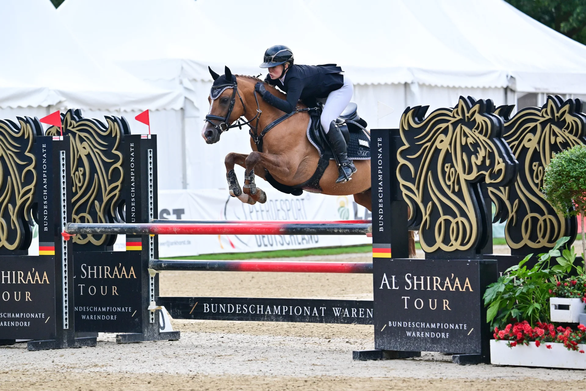 Bild: SM Midnight Lightning und Lea Metzig