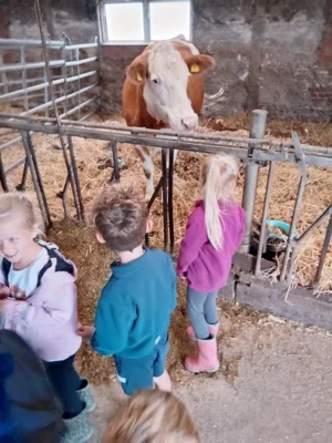 Foto des Albums: Besuch im Kuhstall