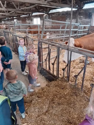 Foto des Albums: Besuch im Kuhstall