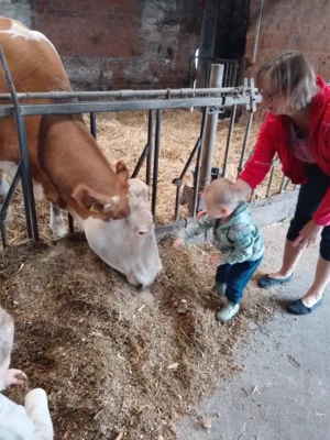 Foto des Albums: Besuch im Kuhstall