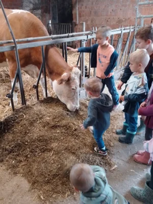 Foto des Albums: Besuch im Kuhstall