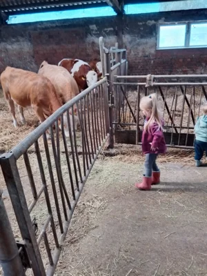 Foto des Albums: Besuch im Kuhstall