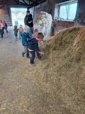 Foto des Albums: Besuch im Kuhstall