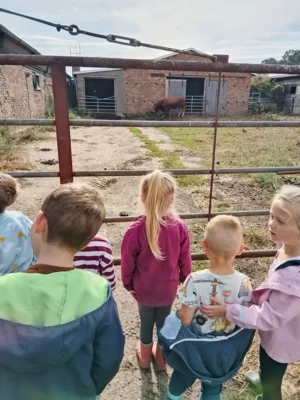 Foto des Albums: Besuch im Kuhstall