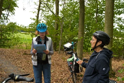 Info&acute;s - Wald vor Wiedensahl  (Bild vergr&ouml;&szlig;ern)