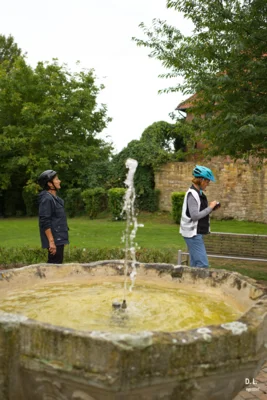 Schlossbezirk Sachsenhagen - Burnnen  (Bild vergr&ouml;&szlig;ern)