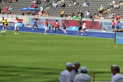 Foto des Albums: Gänsehaut im Olympiastadion