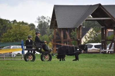 Foto des Albums: Fahrertag 2026