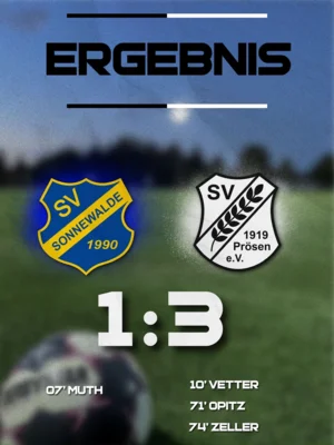 Foto des Albums: SV Blau-Gelb 90 Sonnewalde - Prösen