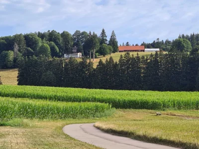 Foto des Albums: Abhaufest 100 Jahre Trachtenvereinigung Alt Hotzenwald