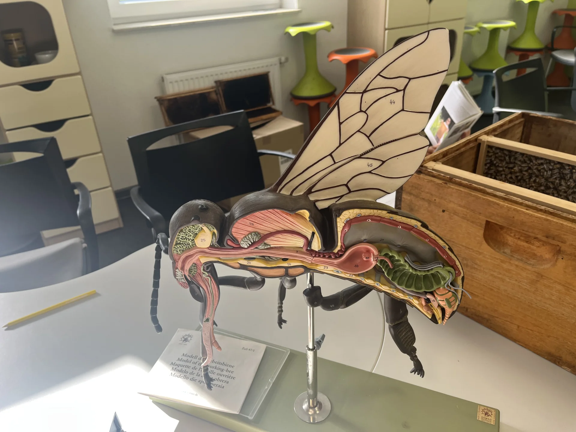 Bild der Galerie