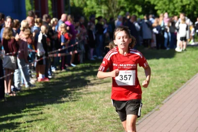 Foto des Albums: 6. Tuchmacher Stadtlauf 2026