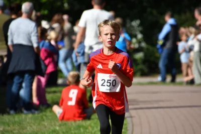 Foto des Albums: 6. Tuchmacher Stadtlauf 2026