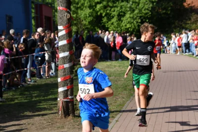 Foto des Albums: 6. Tuchmacher Stadtlauf 2026
