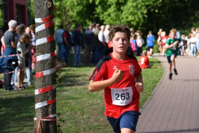 Foto des Albums: 6. Tuchmacher Stadtlauf 2026