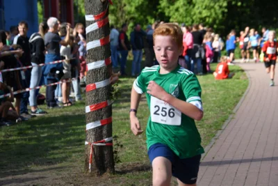 Foto des Albums: 6. Tuchmacher Stadtlauf 2026