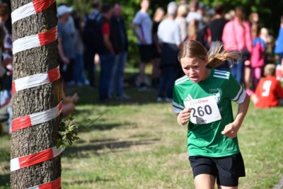 Foto des Albums: 6. Tuchmacher Stadtlauf 2026