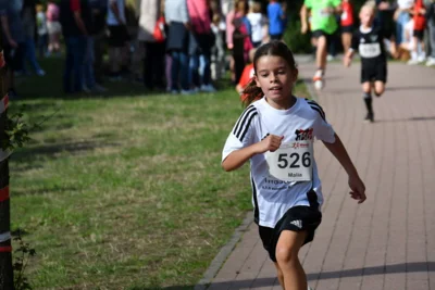 Foto des Albums: 6. Tuchmacher Stadtlauf 2026