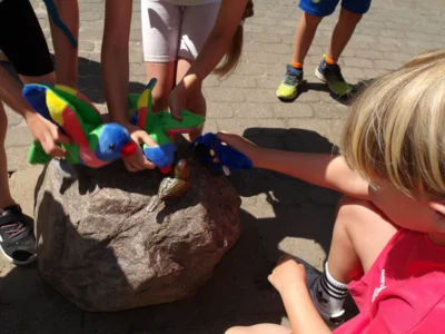 Foto des Albums: Zoobesuch der Klasse 1c