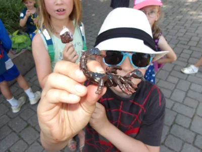 Foto des Albums: Zoobesuch der Klasse 1c