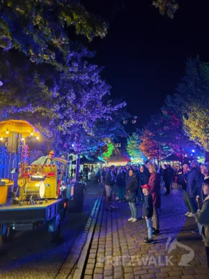 Foto des Albums: Pritzwalker und ihre Gäste feierten die Pritzwalker Herbstlichter - Teil 2