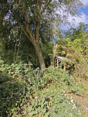 Foto des Albums: Einsatz 085/2026