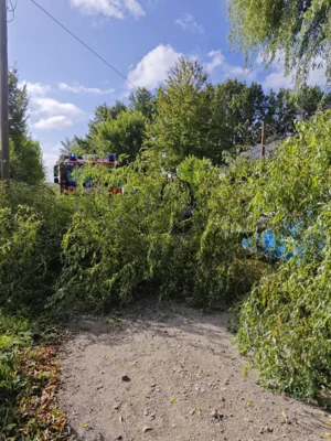 Foto des Albums: Einsatz 085/2026