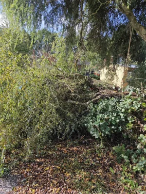Foto des Albums: Einsatz 085/2026