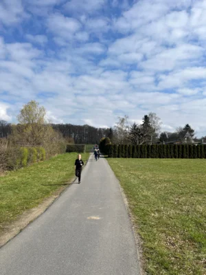 Foto des Albums: Frühjahrscrosslauf