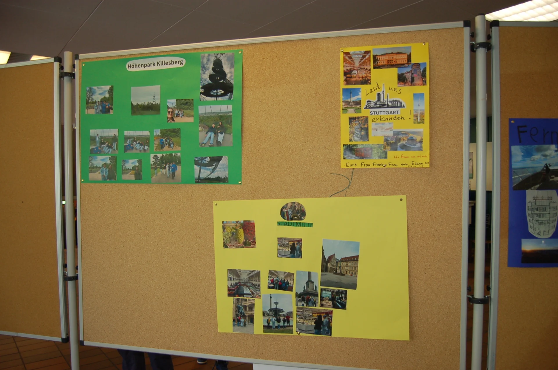 Bild der Galerie