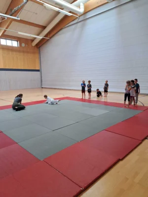 Foto des Albums: Ferienprogramm Ju-Jutsu 2026