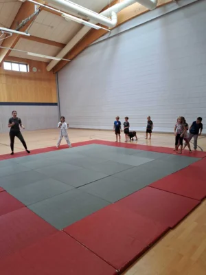 Foto des Albums: Ferienprogramm Ju-Jutsu 2026