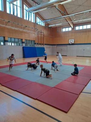 Foto des Albums: Ferienprogramm Ju-Jutsu 2026
