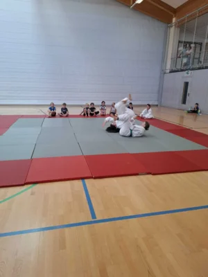 Foto des Albums: Ferienprogramm Ju-Jutsu 2026