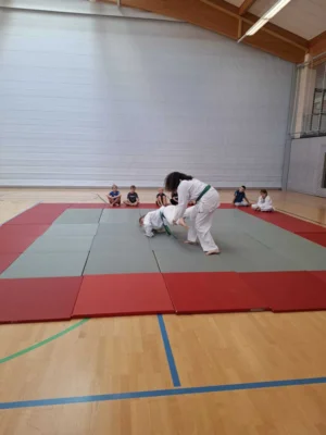 Foto des Albums: Ferienprogramm Ju-Jutsu 2026
