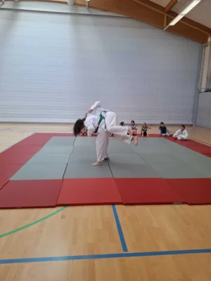 Foto des Albums: Ferienprogramm Ju-Jutsu 2026