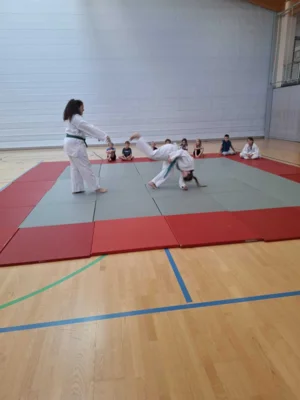 Foto des Albums: Ferienprogramm Ju-Jutsu 2026