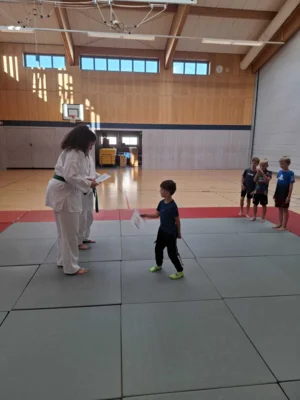 Foto des Albums: Ferienprogramm Ju-Jutsu 2026