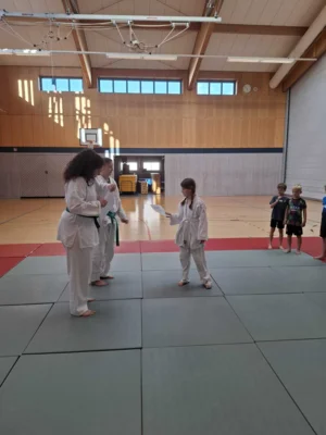Foto des Albums: Ferienprogramm Ju-Jutsu 2026