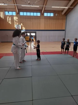 Foto des Albums: Ferienprogramm Ju-Jutsu 2026