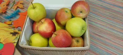 Foto des Albums: Hortangebot: Äpfel 🍎 und Pilze 🍄 aus Holzspateln