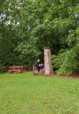 Foto des Albums: Sommerputz am Naturlehrpfad