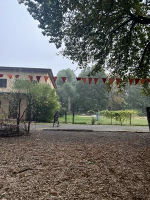 Foto des Albums: 50 Jahre, Waldorfschule Braunschweig