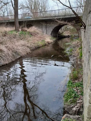 Foto des Albums: Sanierung der Stützmauer am Mühlgraben in Niederroßla